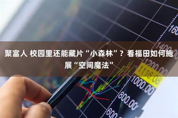 聚富人 校园里还能藏片“小森林”？看福田如何施展“空间魔法”