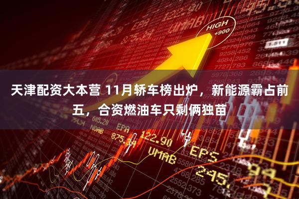 天津配资大本营 11月轿车榜出炉，新能源霸占前五，合资燃油车只剩俩独苗