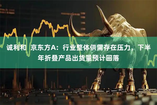诚利和  京东方A：行业整体供需存在压力，下半年折叠产品出货量预计回落