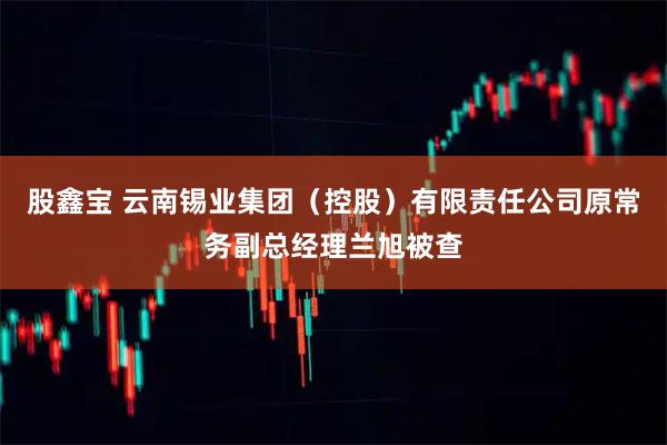 股鑫宝 云南锡业集团（控股）有限责任公司原常务副总经理兰旭被查