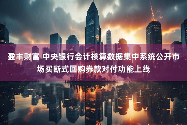 盈丰财富 中央银行会计核算数据集中系统公开市场买断式回购券款对付功能上线