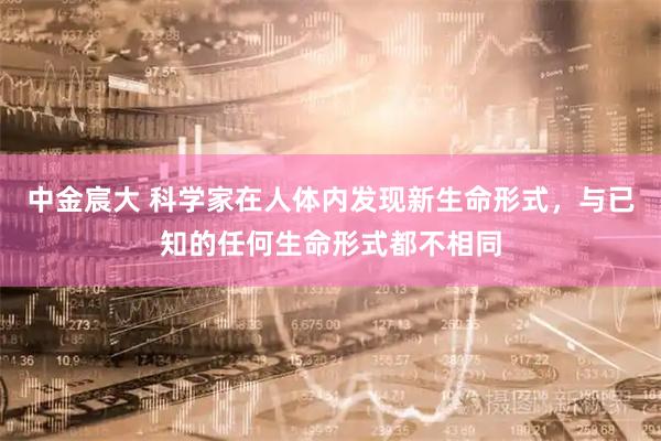 中金宸大 科学家在人体内发现新生命形式，与已知的任何生命形式都不相同